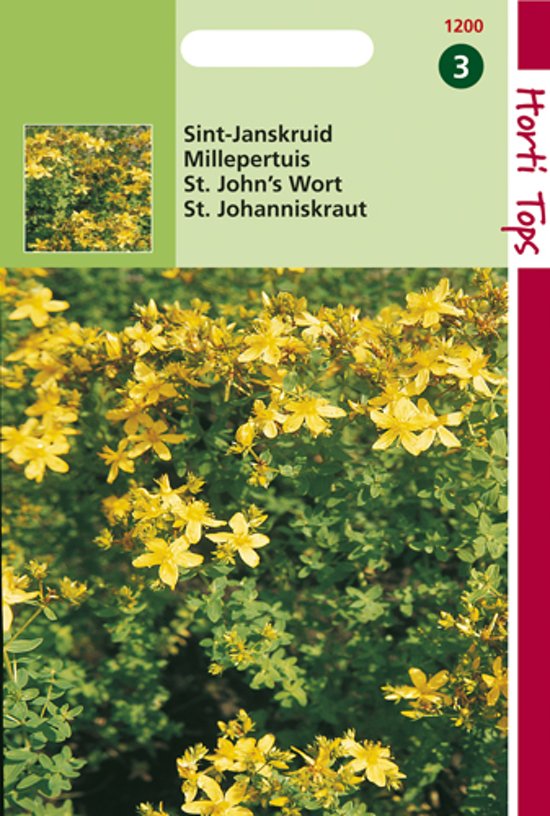 Sint-Janskruid (Hypericum perforatum) 2400 zaden